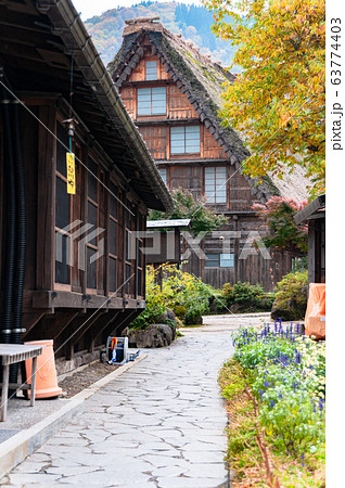 The Village of Shirakawa, a world heritage site, with its traditional houses with gassho-zukuri-style roofs at daylight in autumn 63774403