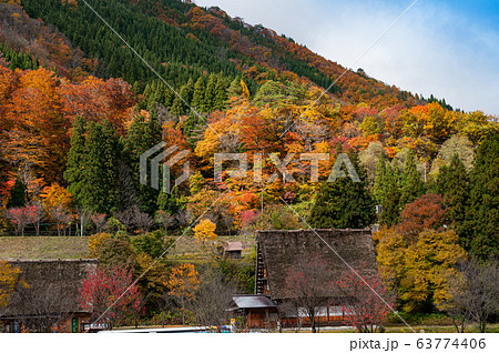 The Village of Shirakawa, a world heritage site, with its traditional houses with gassho-zukuri-style roofs at daylight in autumn 63774406