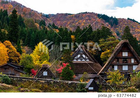 The Village of Shirakawa, a world heritage site, with its traditional houses with gassho-zukuri-style roofs at daylight in autumn The Village of Shirakawa, a world heritage site, with its traditional houses with gassho-zukuri-style roofs at daylight in autumn 63774482