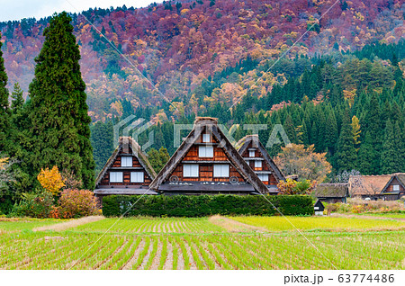 The Village of Shirakawa, a world heritage site, with its traditional houses with gassho-zukuri-style roofs at daylight in autumn The Village of Shirakawa, a world heritage site, with its traditional houses with gassho-zukuri-style roofs at daylight in autumn 63774486