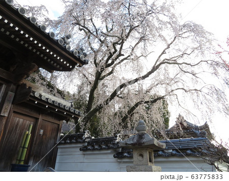 千光寺 千光寺 63775833