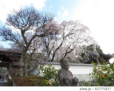 千光寺 63775837