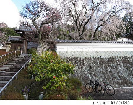 千光寺 千光寺 63775844