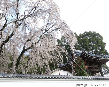千光寺 千光寺 63775846