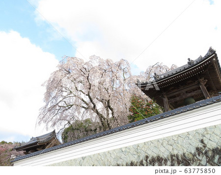 千光寺 63775850