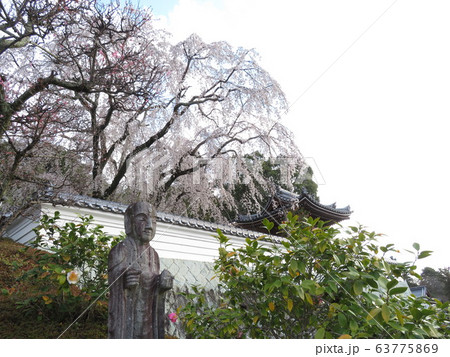 千光寺 63775869