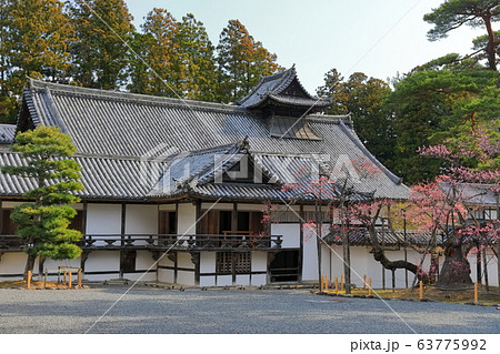 【宮城県】瑞巌寺の庫裡と臥龍梅  【宮城県】瑞巌寺の庫裡と臥龍梅  63775992