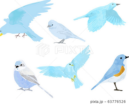 水彩風青い鳥ベクターイラストのイラスト素材