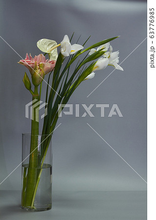 Close-up spring bouquet of iris, hippeastrum and Close-up spring bouquet of iris, hippeastrum and 63776985