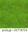 Seamless Green Lush Grass Texture 63778724