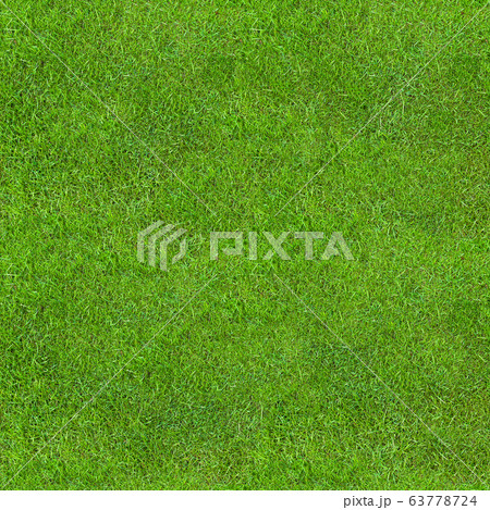 Seamless Green Lush Grass Texture Seamless Green Lush Grass Texture 63778724