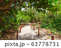 White sand pathway to the beach 63778731