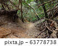 Anaga Natural Park Pathway 63778738