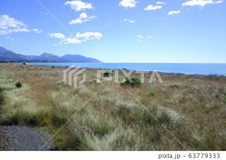 Coastal Pacific Train コースタル・パシフィック号 Coastal Pacific Train コースタル・パシフィック号 63779333