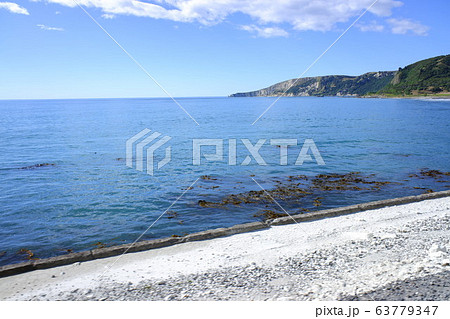 Coastal Pacific Train   コースタル・パシフィック号 63779347