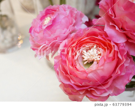 ピンクの花 ピンクの花 63779394
