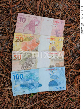 Reais, Real, brazilian money bills, dry brown pine needles background, ten twenty fifty and hundred reais bill 63781618