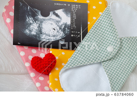 布ナプキン／生理イメージ／妊活／妊娠 63784060