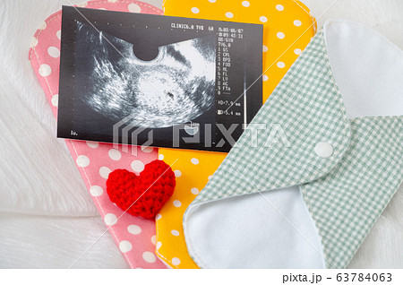 布ナプキン/生理イメージ/妊活/妊娠 布ナプキン/生理イメージ/妊活/妊娠 63784063