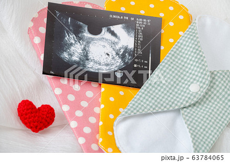 布ナプキン／生理イメージ／妊活／妊娠 63784065