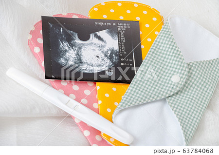 布ナプキン/生理イメージ/妊活/妊娠 布ナプキン/生理イメージ/妊活/妊娠 63784068