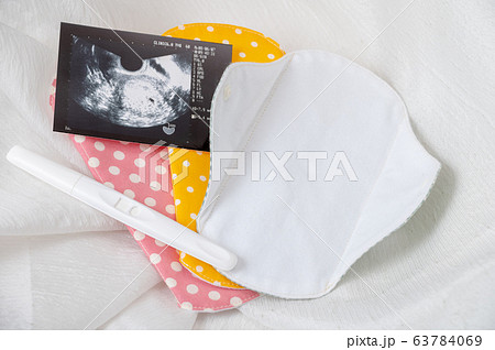 布ナプキン/生理イメージ/妊活/妊娠 布ナプキン/生理イメージ/妊活/妊娠 63784069