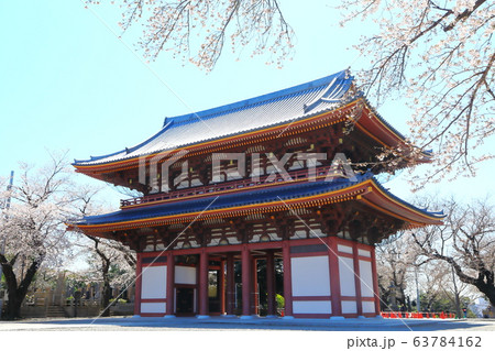 池上本門寺　仁王門　桜 63784162
