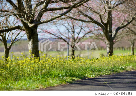 辰ノ口親水公園 茨城県常陸大宮市 辰ノ口親水公園 茨城県常陸大宮市 63784293