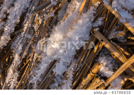 Top view of the ice and flakes of hoarfrost 63786838