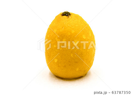 Horizontal single lemon isolated 63787350