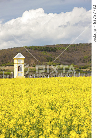 Gods torture near Retz, Austria 63787782