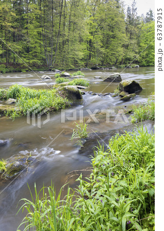 river Sazava near Smrcna, Czech Republic river Sazava near Smrcna, Czech Republic 63787915