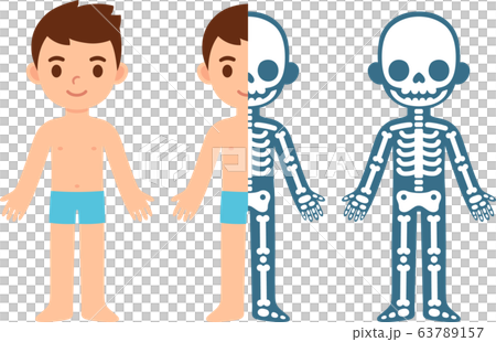 Cartoon boy skeleton Cartoon boy skeleton 63789157