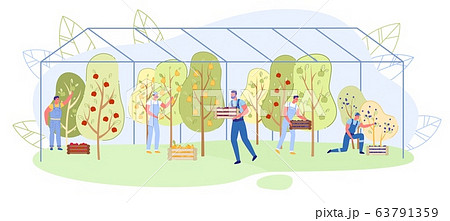 Family Business Fruit Growing in Greenhouse, Slide 63791359