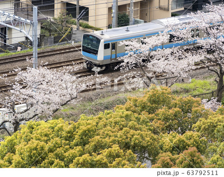 桜と電車 63792511
