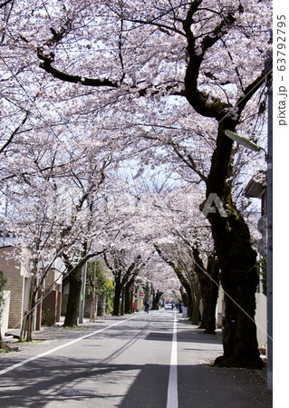 成城学園前 63792795