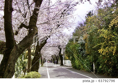 成城学園前 成城学園前 63792796