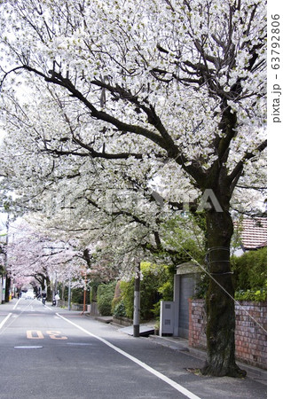 成城学園前 63792806