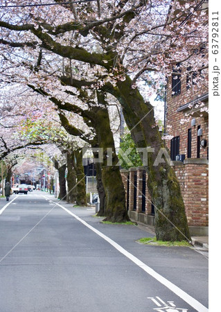 成城学園前 成城学園前 63792811