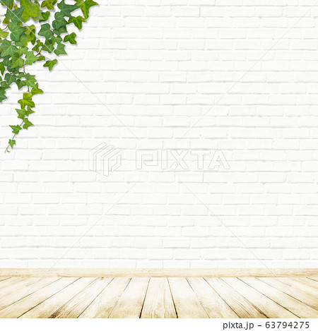 背景 壁 床 煉瓦 白 ツタのイラスト素材