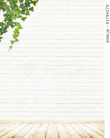 背景 壁 床 煉瓦 白 ツタのイラスト素材