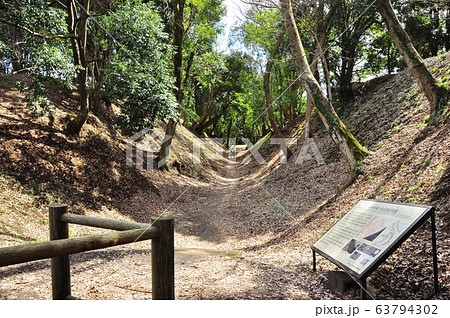 小田原の町並み 小田原城堀切(小峯御鐘ノ台大堀切西堀) 小田原の町並み 小田原城堀切(小峯御鐘ノ台大堀切西堀) 63794302