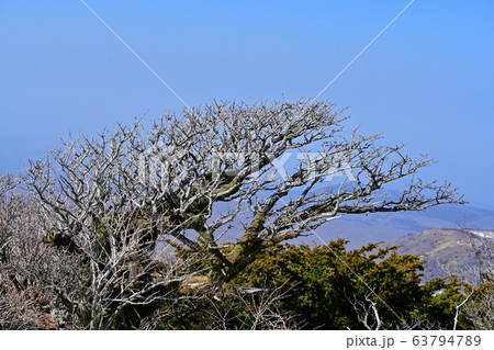 済州島 漢拏山 白鹿潭 63794789