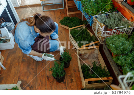 Woman with a pony tail leaning over a plant Woman with a pony tail leaning over a plant 63794976