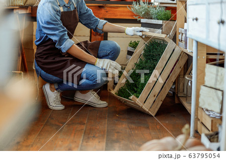 Female supporting a wooden box with seedlings Female supporting a wooden box with seedlings 63795054