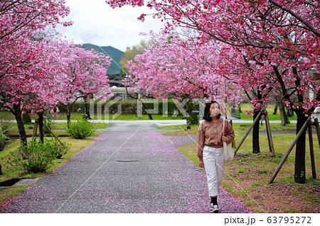 陽光桜 陽光桜 63795272