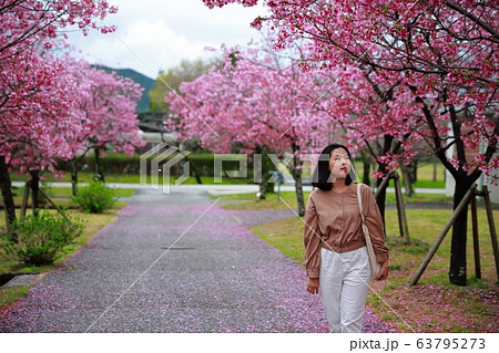 陽光桜 63795273