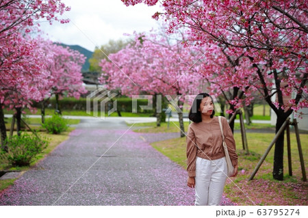 陽光桜 陽光桜 63795274