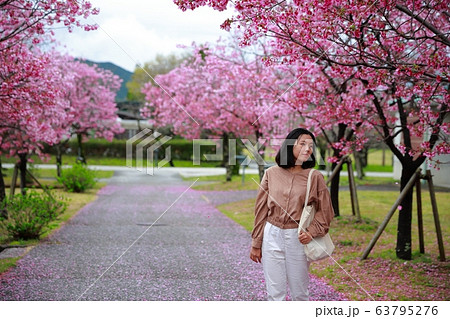 陽光桜 陽光桜 63795276