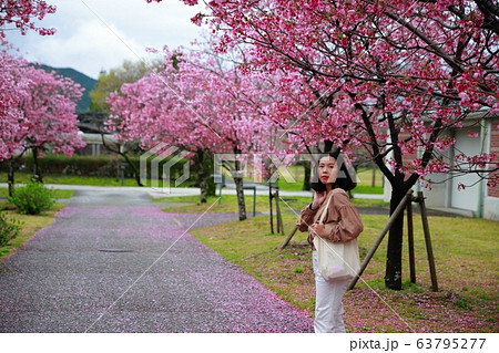 陽光桜 63795277